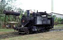   Nr. 1204  Osvaldo Sanchez  05.03.96