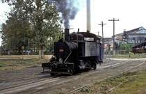   Nr. 1204  Osvaldo Sanchez  05.03.96