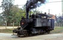   Nr. 1204  Osvaldo Sanchez  05.03.96