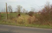 9.11.2008 Eisenbahnbr�cke der Wriezener Bahn, nahe des Einfahrsignals Wriezen von Norden. Blickrichtung Nord. Weiter n�rdlich wurde daraus ein Radweg bis zur Europabr�cke �ber die Oder.