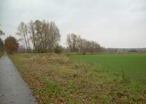 9.11.2008 Wriezener Bahn ca. 1km vor der Oder. Rechts zweigte eine zu DDR Zeiten gebaute Strecke zu Oder ab. An deren Ende konnten die Streitkr�fte eine Pontonbr�cke errichten als Alternative zur Oderbr�cke. Die Teile daf�r lagerten in Siekierki / Z�ckerick.