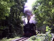 99 1761 mit Personenzug am 01.08.06 zwischen 
Friedewald Hp/L��nitzgrund (143m).