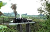 CC50 12  bei Cicurupan  30.09.80