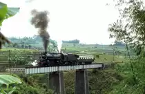 CC50 12  bei Cicurupan  30.09.80