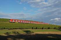 BR 423 Vollzug als S 1 Wiesbaden Hbf - R�dermark-Ober Roden in den Weinbergen von Hochheim(Main). 04.10.12