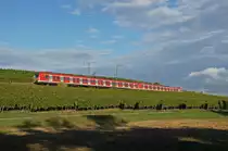 BR 423 Vollzug als S 1 Wiesbaden Hbf - R�dermark-Ober Roden in den Weinbergen von Hochheim(Main). 04.10.12