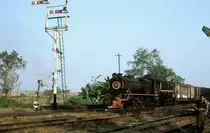 YD 969  Bago  05.01.02