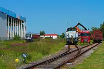 W�hrend auf der Ladestrasse hinter der Lok Johanna die Wagen mit Rundh�lzern beladen werden, f�hrt auf dem Hauptgleis VT 564 der M�rkischen Regiobahn in Richtung Pasewalk. - 28.06.2011
