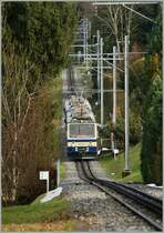 Eine kleine Fototour mit drei Spurweiten:  Nicht aus dem Walde komme er her, sondern vom Bureau des Weihnachtsmannes auf dem Rochers de Naye und deshalb auch mit doppelter Kapzitat: Zwei Beh 4/8 als 3366 auf der 80 cm Zahnradbahnstrecke kurz vor Glion.
23. Dezember 2012