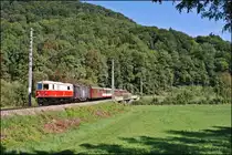 Ein weiteres Bild des R 6809 vom 08.09.2012 kurz vor der Haltestelle Steinklamm.