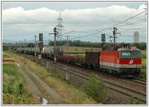 1044 110 am 4.8.2006 mit ihrem G�terzug kurz vor der Durchfahrt in Wampersdorf