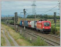 1116 238 am 4.8.2006 mit einem G�terzug kurz vor der Durchfahrt in Wampersdorf.