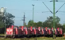 LCH 0469 001, 002, 003, 004, 005 und 212 043, 055 warten am Bahnhof Hegyeshalom, am 14. 08. 2012. Ein Paar Tag sp�ter wurden sie zur�ck nach Deutschland geliefert.  
