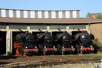 50 3517-5, 52 8170-4, 52 8058-1 und 52 8117-5 vor dem gro�en Rundschuppen am 16.09.2012 im Bw Falkenberg Oberer Bahnhof. Das Gel�nde dient nur zur Aufbewahrung von Fahrzeugen und ist nur an wenigen Tagen im Jahr zug�nglich. 

