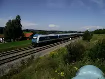 Netinera 223 mit ALEX bei Martinszell auf den Weg nach Obersdorf/Lindau am 19.08.11