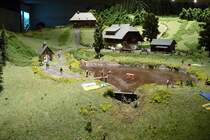 Badesee auf der Schwarzwald-Modellbahn, 3.10.11