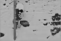 Wie gut wenn man trotzdem weiss wo man ist...
G�sc..., den 12. Dez. 2012