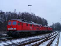 232 618-9, 233 572-7 und 233 217-9 standen am 14.01.13 in Marktredwitz.