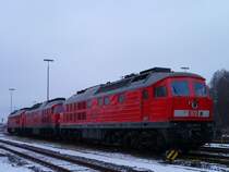 233 217-9, 233 572-7 und 232 618-9 standen am 14.01.13 in Marktredwitz.