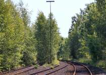 Noch wachsen B�ume im �stlichen Weichenbereich von Selb-Pl��berg... n�chstes Jahr sollen die Bagger anr�cken, um die Verbindung nach Asch wieder herzustellen. (19.6.12)