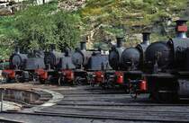 In mehr oder minder gutem Zustand waren die 1'BC n4vt-Lokomotiven E 205, E 216, E 212, E 211, E 213 und E 214 (zwischen 1911 und 1923 von Henschel gebaut) an der Drehscheibe in Regua am 27.04.1984 abgestellt