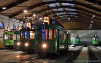 Gleich geht es Los! Im Depot Dreispitz bei Basel werden die Oldtimer Tram's des Tramklub Basel am 18. januar 2013 fr den Einsatz an der 13. Baseler Museumsnacht fr die BVB Startklar gemacht.
Von links nach rechts: Ce4/4 450 Dante Schuggi, Ce2/2 215 Zur schweren Last, Be2/2 156 Zum Sud, Be2/2 181 Zum Feigenbaum, Ce2/2 47 Anggebliemli und Ce2/2 126 Zum Kmmerlein, wobei letzte Zwei nicht zum Einsatz kamen!