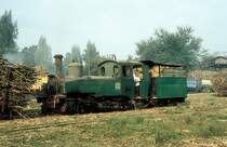 Nr. 12  Sragi  06.08.04