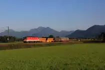 Einen Alpenstaubsauger vor einem Korridor G�terzug sieht man nicht all zu oft.
Hier zieht die �BB 1144 253-2 einen G�terzug von Salzburg kommend durch Bernau in Richtung Hall in Tirol.
Bernau, 07.09.12