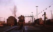 An einem Februarsamstag 1975 wurden 044 632-3, 043 167-6 und 043 681-8 im Bw Rheine angetroffen