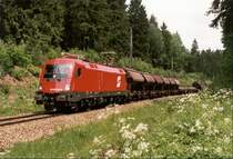 Das Foto zeigt die 1016.010 bei der Einfahrt von Gm�nd!