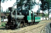 Nr. 2  Soedhono  04.10.80  ( Maffei  Nr. 3646  Bj 1910 )