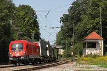 BB 1116 193  Manfred  am 21.8.12 mit einem KLV in Aling (Obb.)