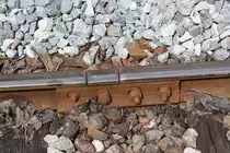 Interessantes Detail in der Hst. Khok Khwai. Bild vom 17.November 2012. 

