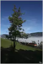 Ein 1144er Tandem, zieht einen G�terzug �ber die Apfelwiese bergw�rts.
Eichberg 18.10.2012