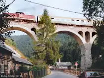 204 869 f�hrt mit der Regionalbahn nach Lobenstein in Ziegenr�ck �ber das gro�e Saaleviadukt. (26.7.95)
