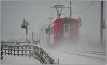 Nachschuss auf das gleiche Gespann  wie das vorherige Bild. (12.02.2013)