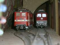 Wenige Minuten vorher war 211 035 noch durch den Tunnel gefahren,als 132 256 am abgestellten Holzroller im Tunnel vorbei fuhr.