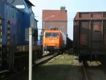 Eine L�cke wurde ausgenutzt um,am 27.Februar 2013,im Stralsunder Nordhafen die EKO-Trans 145-CL002 zufotografieren.