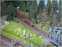 Ein Grund f�r den Misserfolg meiner alten  Z  Anlage waren die zugebauten (bzw. zu zubauenden) Schattenbahnh�fe, so dass im St�rungsfall ein Eingreifen kaum m�glich war. Diesem Umstand wird auf der  neuen  Anlage nun Rechnung getragen,  so dass sich die verdeckten Teile offen zug�nglich hinter einer Kulisse befinden. 
Auf dem Bild fahrt gerade eine Re 4/4 II mit einem EC aus Tunnellos dem  Kulissenwald  hinter welchem sich ein Schattenbahnhof verbirgt.
3. M�rz 2013