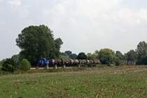 275 013 (Infraleuna 210) mit Kesselwagenzug aus Trglitz bei Zeitz, 09.08.2012.