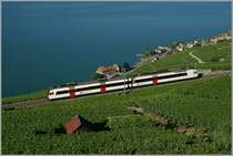 Daran wird man sich wohl gewhnen mssen: Statt dem  Train des Vignes  fhrt nun ein Domino als S 31. 
Bei Chexbres, den 10. Juli 2012