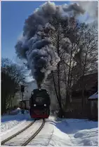 Kurz nach der Ausfahrt im Hasserode, konnten wir die 99 7237 mit dem Zug 8933 (Wernigerode - Brocken) ein weiteres Mal ablichten, welche uns dann in weiterer Folge auf den Brocken bringen sollte.  
Wernigerode 4.3.2013