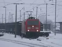  Gestrandete  185 335,am 14.Dezember 2012,in Bergen/R�gen.