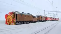 Lokconvoy der Sonderfahrt in Ospizio Bernina mit Dampfschneeschleuder Xrotd 6/6 9213, Bernina-Krokodil Ge 4/4 182, Zweikraftlok Gem 4/4 802  Murmeltier  und den Triebwagen ABe 4/4 46 + 47 mit dem Schnee-R�umer Xk 9132 kurz vor der Heimfahrt nach Pontresina. (19.01.2013)