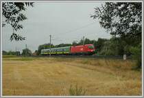 Kurz vor Pottendorf-Landegg lam mir am 3.8.2006 ER 9947 „Therme B�k“ von Szombathely nach Wien S�d vor die Linse.
