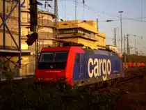 In der Abendsonne im Mannheimer Hbf. am 31.10.2011.