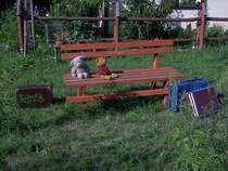 An der Endhaltestelle der Schmalspurbahn Rauden (Rudy) in Oberschlesien - in Paprotsch (Paproc) - warten diese beiden Reisenden.