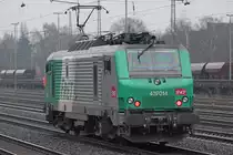 FRET 437014 am 25.02.13 in D�sseldorf-Rath.