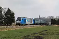 2016 909 mit einem G�terzug am 22.03.2013 bei T��ling.