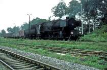  Ty2 782  Gryfow  11.08.84